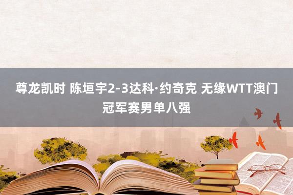 尊龙凯时 陈垣宇2-3达科·约奇克 无缘WTT澳门冠军赛男单八强
